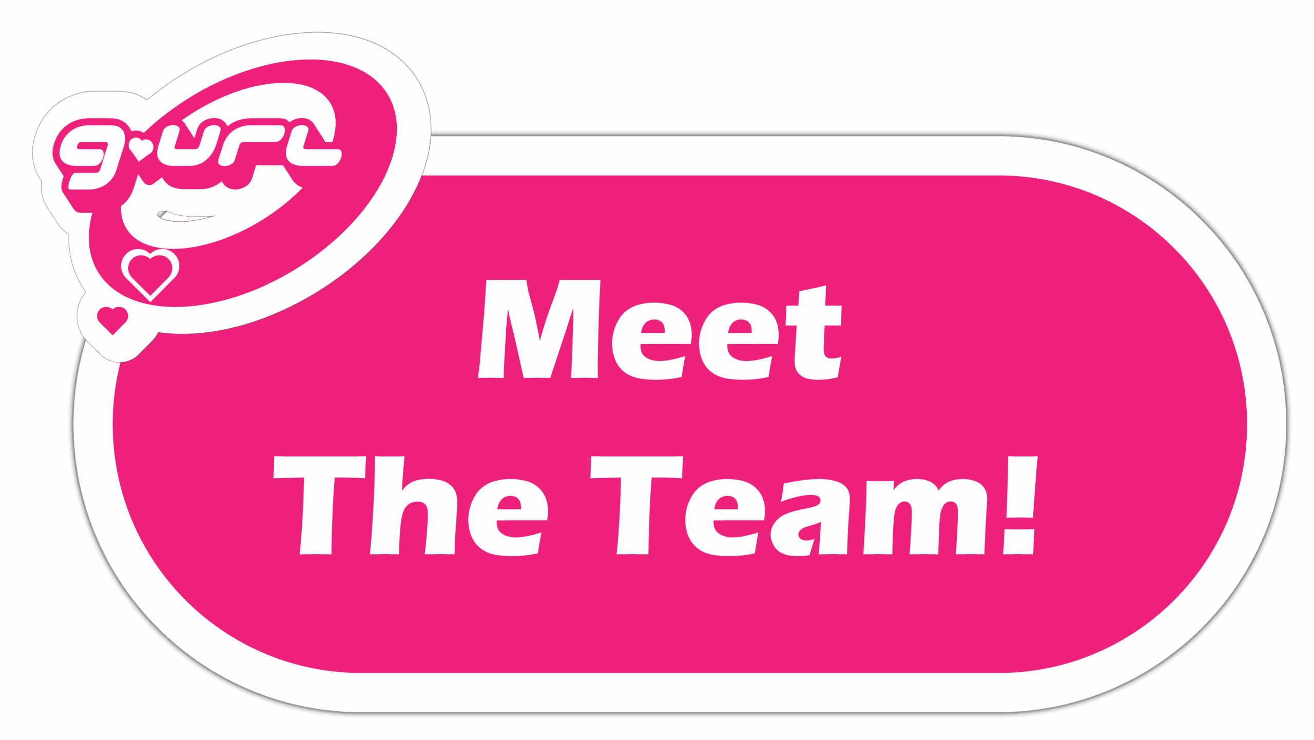 meet the team sticker